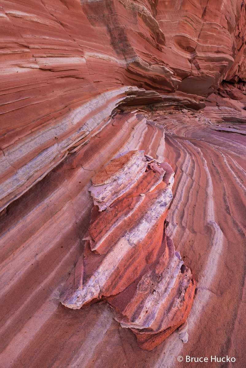 Rock Forms,Sandstone abstracts,Vermilion Cliffs National Monument,White Pocket