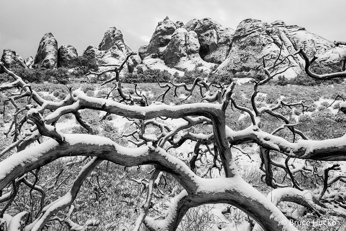 Arches National Park,arches NP winter