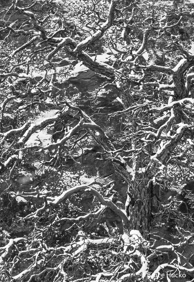 Arches National Park,arches NP winter